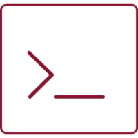 sv-software software-coding-icon